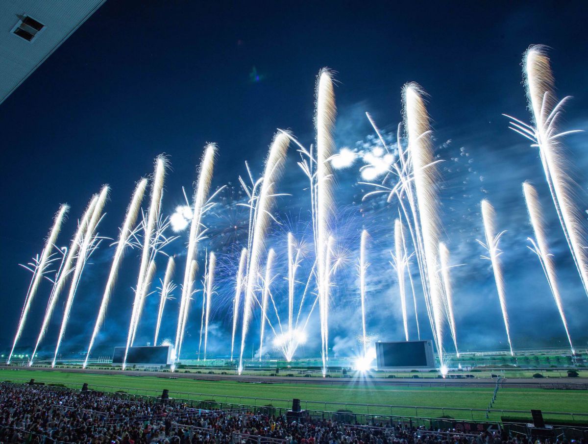 京都京都競馬場 で京都芸術花火 ！, 京阪電車も軽快に。会場外からですが、 綺麗！感謝