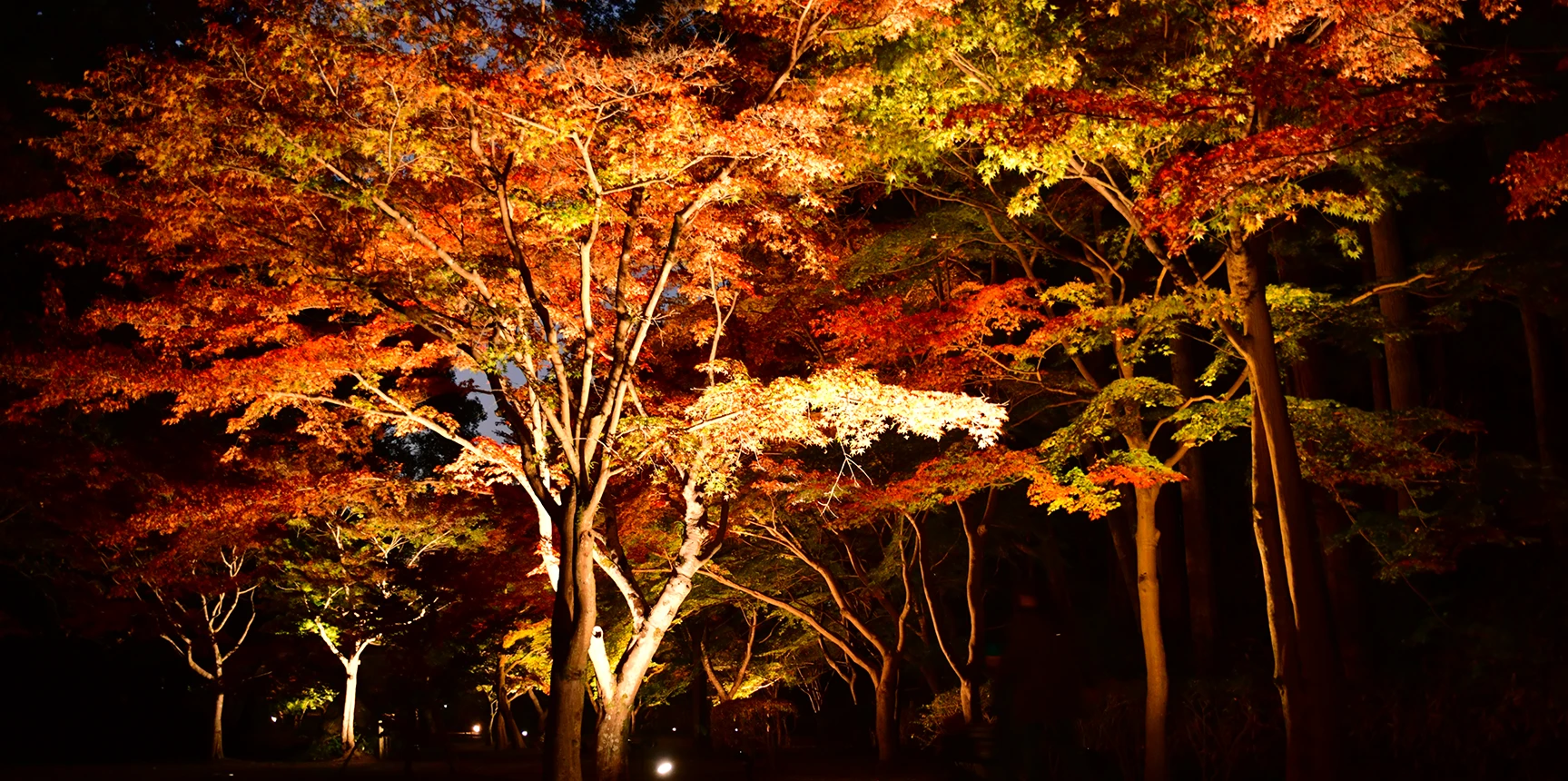 UTOPIA」前売チケット販売開始！UTOPIA実行委員会のプレスリリース