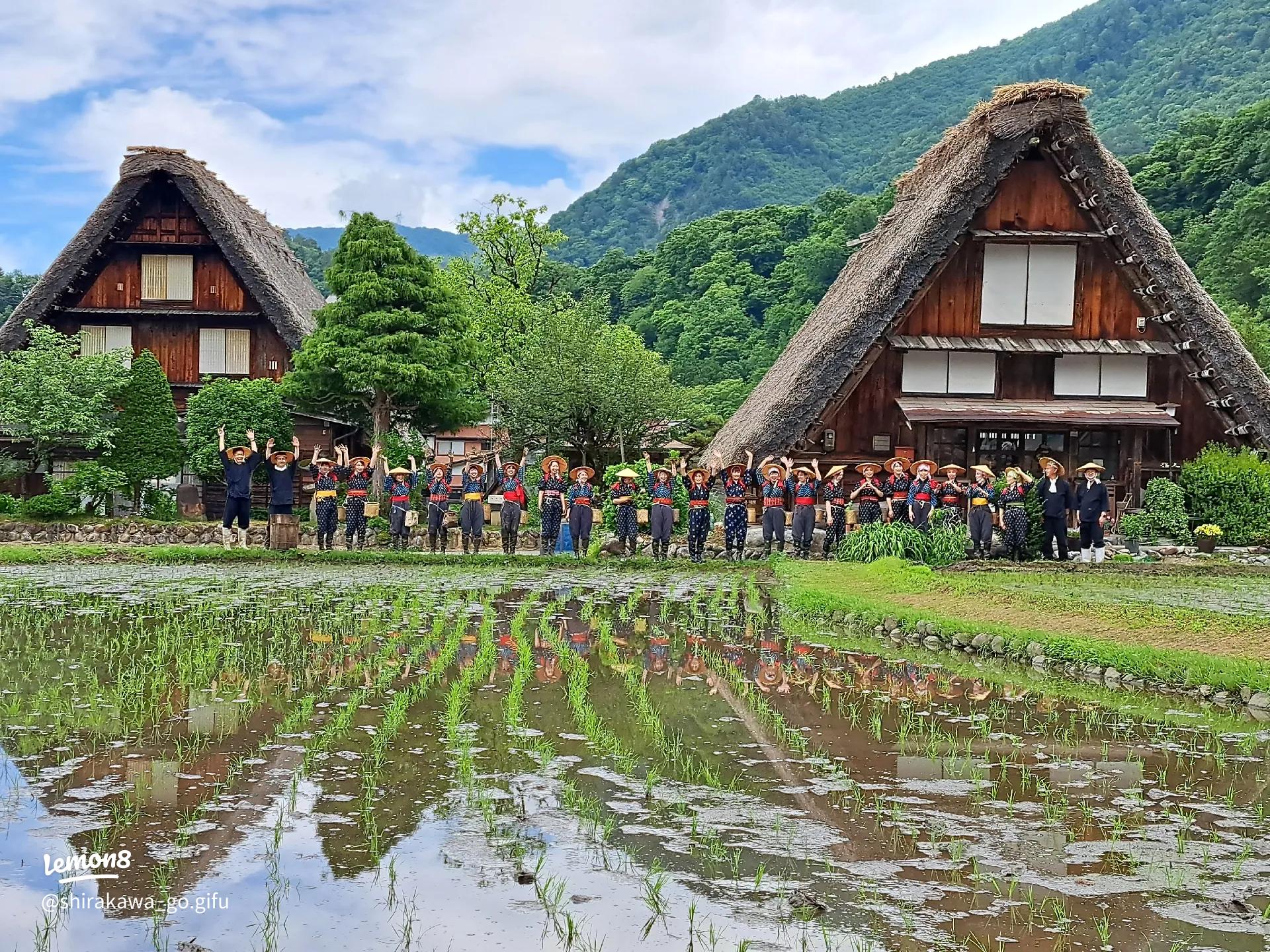 田舎の夏祭り特集2025 年のリアルなLemon8ユーザー体験