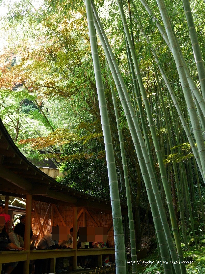 鎌倉 抹茶が飲める、報国寺 ☆MORE