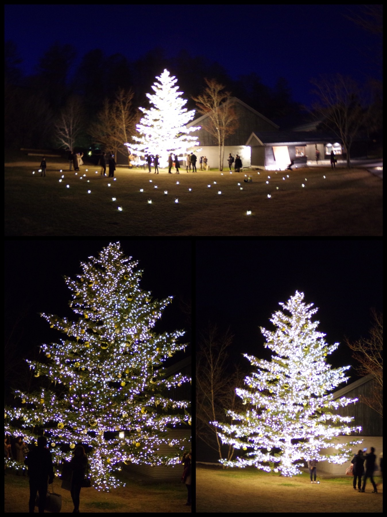 軽井沢高原教会 星降る森のクリスマス アクセス・イベント情報 - じゃらんnet