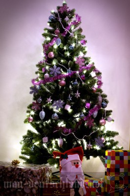 ドイツ・人気クリスマスマーケットの2025年日程と最新ツアー情報トラベルスタンダードジャパン