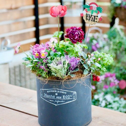 お正月飾り 店舗 玄関 お年賀 プレゼント 寄せ植え 多肉植物 虎っぺ 通販 15138263Creema クリーマ