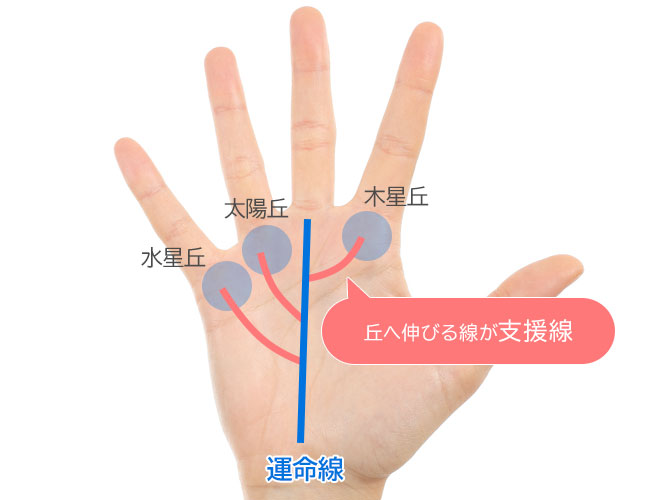 手相占いの結婚線の見方結婚年齢や回数、玉の輿婚などを占う方法とは？セゾンのくらし大研究