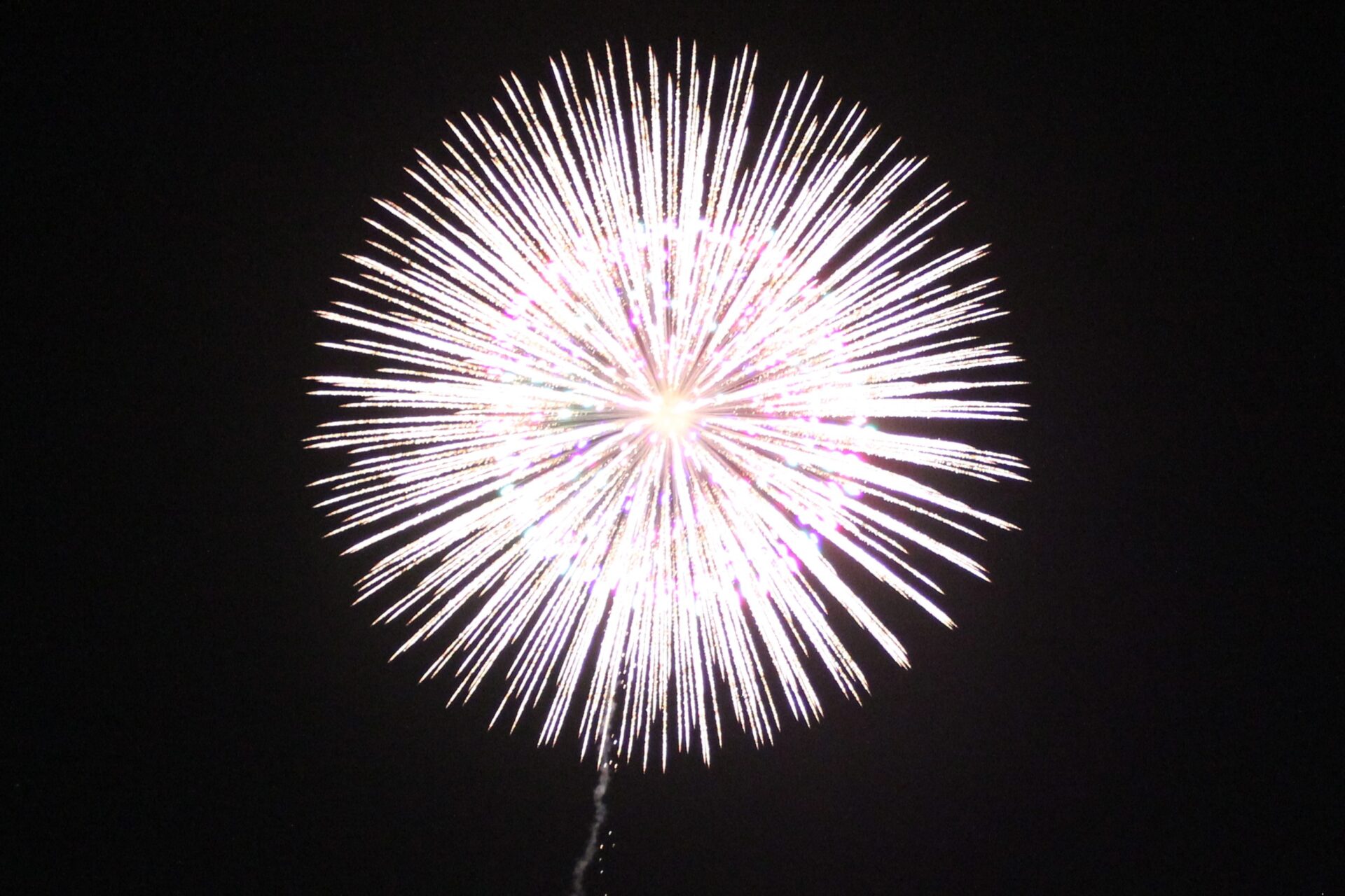 松伏総合公園 埼玉県松伏町公園へ行こう