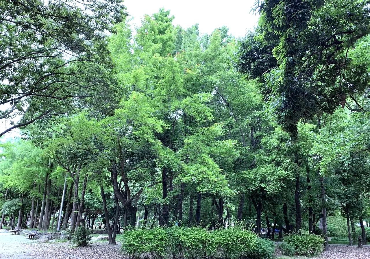 施設案内 大井戸公園尼崎市公式ホームページ