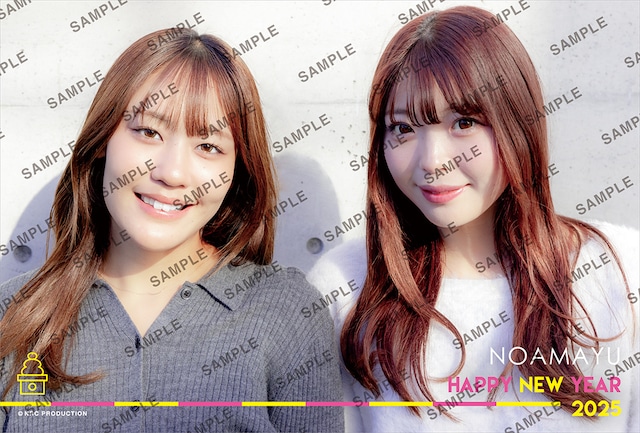 ハッ中国のプニューイヤーウッドスネーク2025 HHPostC シーズンポストカードZazzle.co.jp