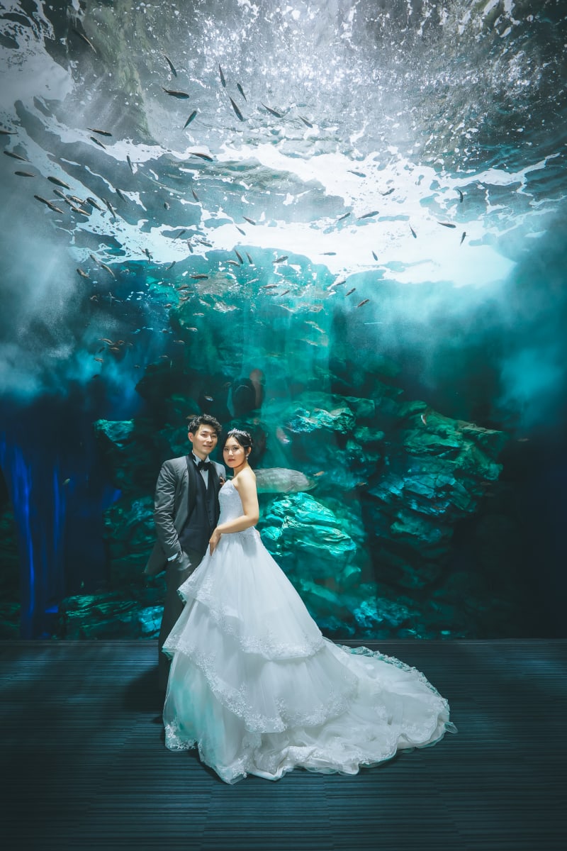 マリンワールド挙式！？夢のような結婚式でした！ - アンジェラフォンティーヌ福岡県・久留米の結婚式場