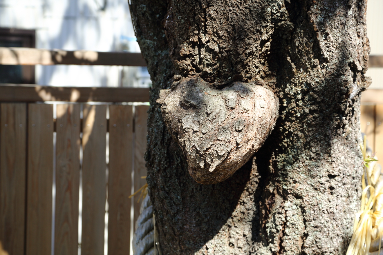 縁結び - 横浜みなとみらい万葉倶楽部 公式サイト