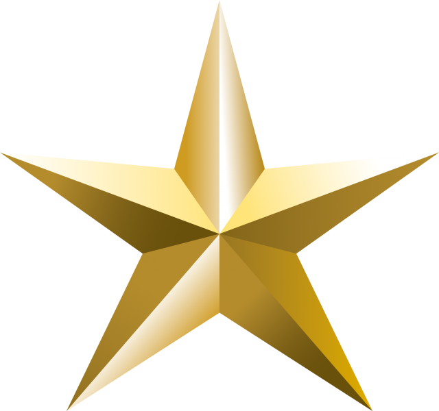 DUOLEIMI ツリートップスター クリスマス トップスター ライト 25CM クリスマスツリー 星 LED クリスマス飾り スタ