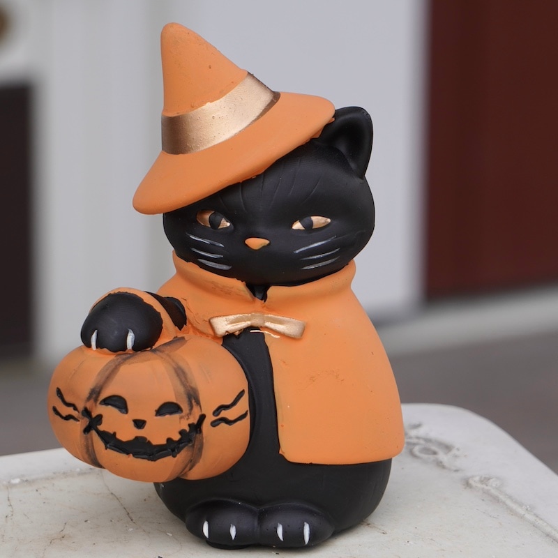 10月27日は「全国黒猫の日」 National Black Cat Day