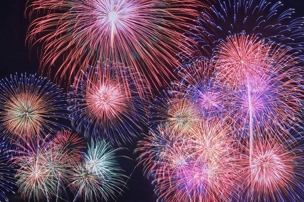 桜島と芸術花火2024｣でうんまか深海魚メニューを提供しましたかごしま深海魚研究会