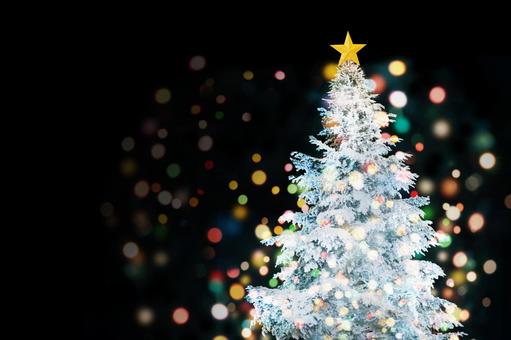 クリスマスツリー もみの木 デコレーションのフリー素材 無料画像のプロ・フォト 無料写真素材集＞wno0016-009