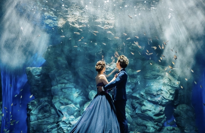 水族館ロケ🐬スタジオAN 福岡前撮り・フォトウェディング