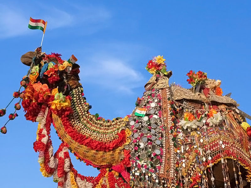 旅行者が驚く珍しい世界の祭り: 経験してみたいユニークなイベント3選！世界中を飛び回る貿易会社女社長