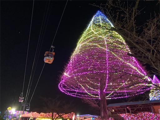 お正月 鏡餅 みかん イラスト：イラスト無料