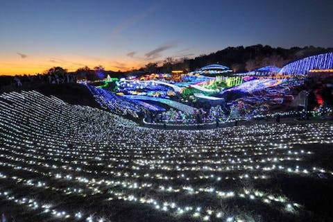 ことなみ土器どきひろば子供とお出かけ情報「いこーよ」