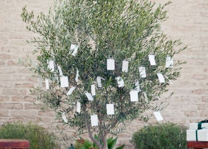 ハッシュタグ「＃ウェディングツリー」の準備レポを探す 全39件 │ハナレポ│ウエディングパーク