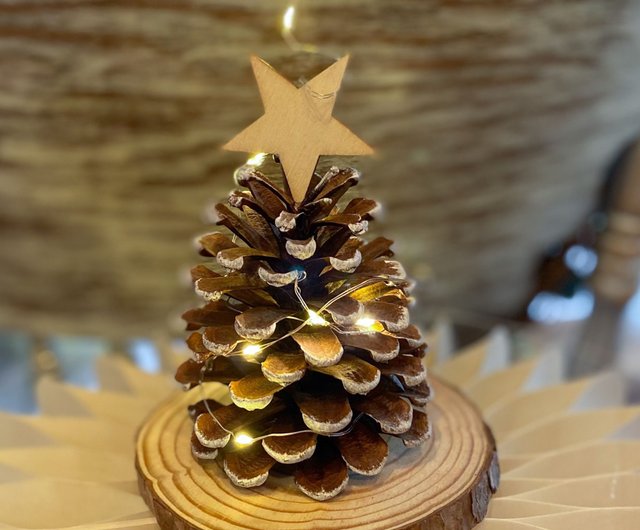 クリスマスツリーを作ろう – めいらく調査隊が行く！知って得する食と健康コラム