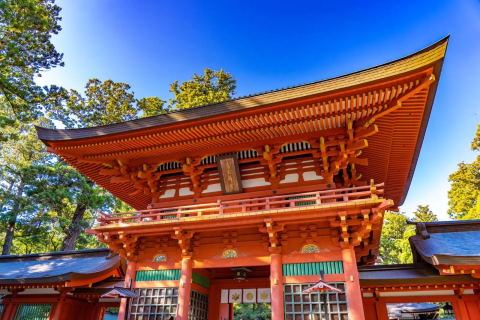 2024-2025 千葉の初詣ならここ！穴場の神社おすすめ8選aumo アウモ