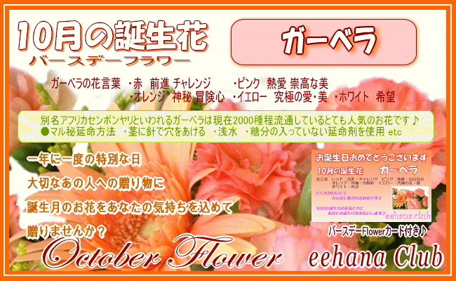 10月7日の誕生花一覧花言葉・誕生花HanaPrime ハナプライム