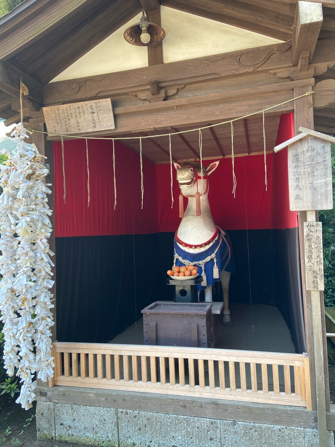 金運トライアングル〜大宝八幡宮・酒列磯前神社・鷲子山上神社でガッチリ！四季の旅