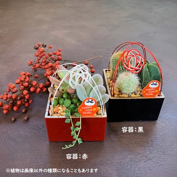 楽天市場 正月飾り ミニ 門松 玄関 天然 モダン おしゃれ 『ミニサイズ で楽しむ お正月 飾り 』 正月 花 玄関飾り お年賀 お正月飾りインテリア 雑貨 年末年始 お歳暮 ギフト 贈り物 元旦 新年 お祝い ドライフラワー プリザーブドフラワー 手作り 花まりか : FLEGRE-1