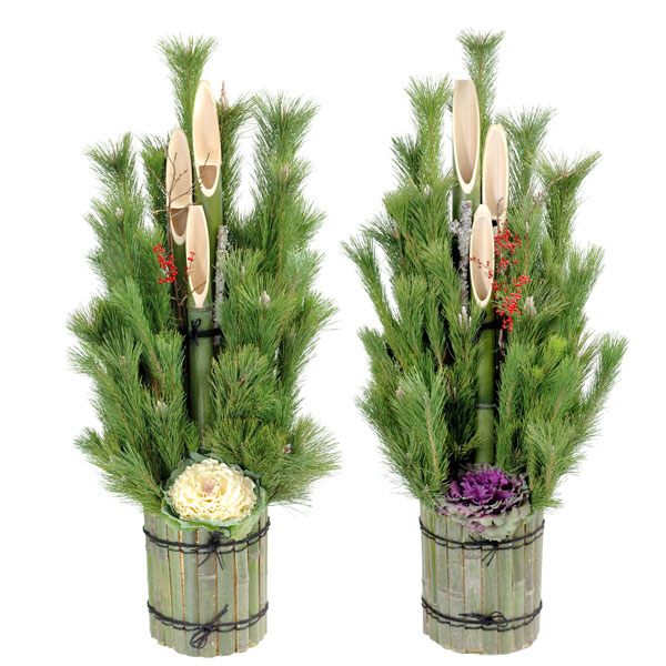 お正月に飾る“松”は種類ごとに意味がある！？D.STYLE