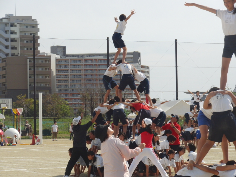 秦野市 組体操「安全管理の徹底を」 例年12小学校が実施秦野タウンニュース
