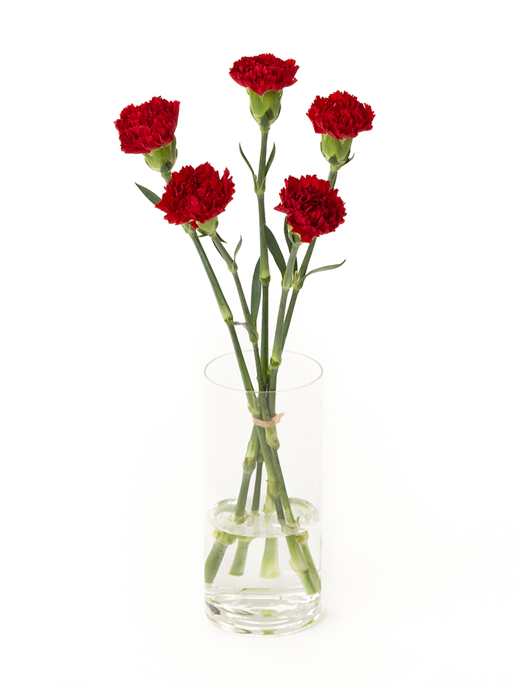 花束 赤カーネーション- 株式会社沢田花房