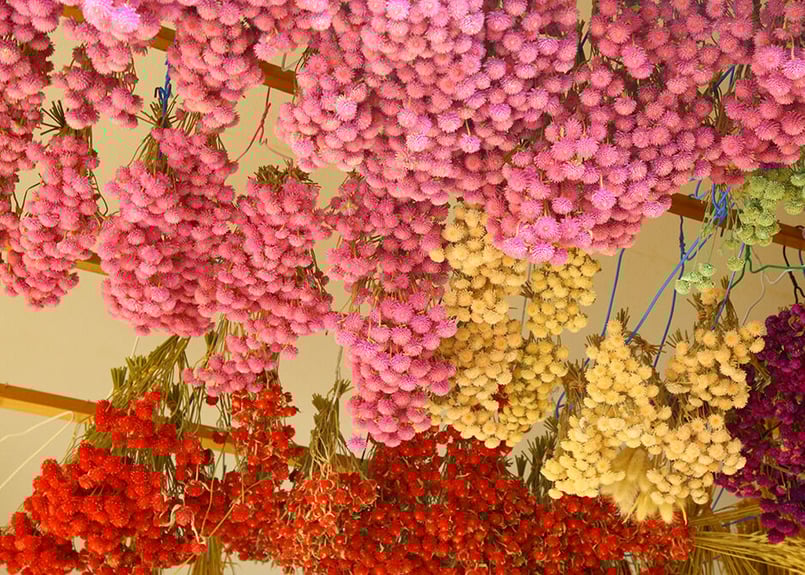 自然素材のクリスマスリースの材料Atelier Cheer