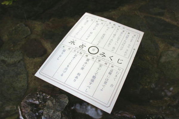 水面に浮かぶ水みくじの写真・画像素材-Snapmart スナップマート