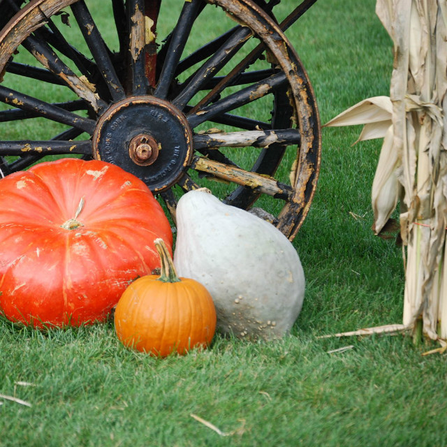 家族や親戚の集まり・観光後の食事に最適福井駅近く・柳月亭のお盆営業案内