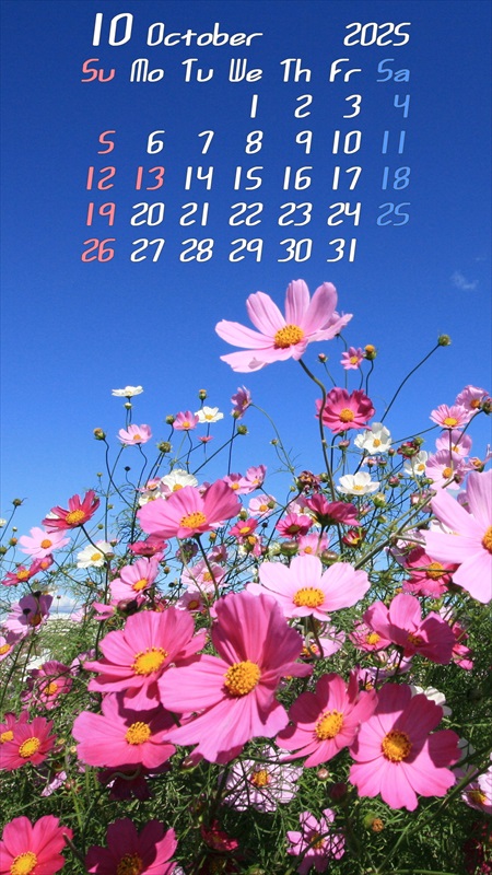 縦型の日付が大きくて見やすい便利なカレンダー無料テンプレートTemplateBox