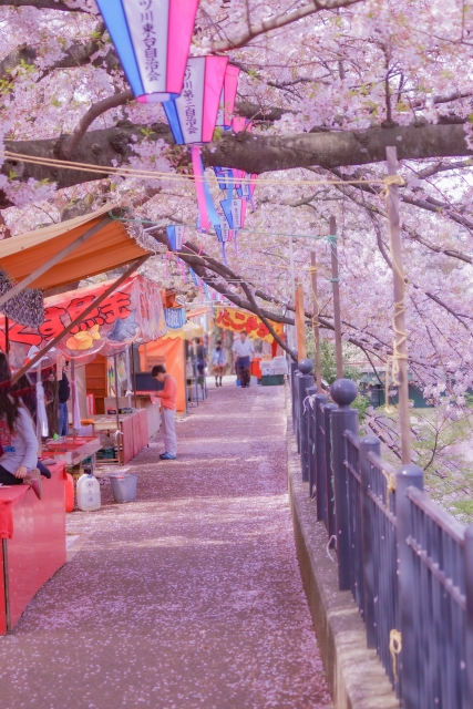 大岡川桜祭り2024の混雑回避の時間帯は?屋台 出店 やトイレの場所もチェック!To The Next Stage