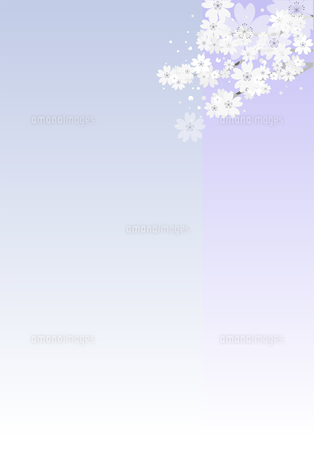 喪中はがきの絵柄に使われる花にはどんな意味がある？絵柄のマナーやカラーデザインについても紹介フタバコ年賀状のお役立ち情報サイト