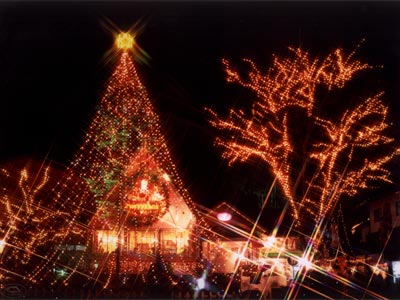 第２５回 宮ヶ瀬クリスマスみんなのつどい - Kのコココレいいじゃん