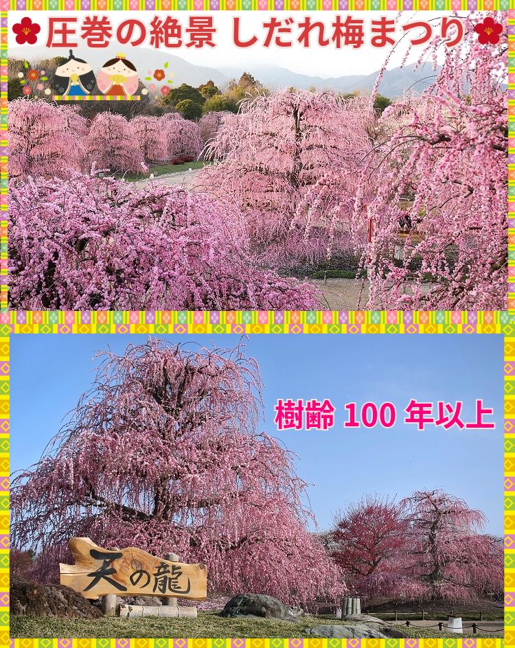 鈴鹿の森庭園 Suzuka Forest Garden公式