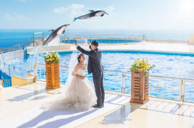 水族館マリンワールドロケーションデコルテフォトグラフィー前撮り・フォトウェディング