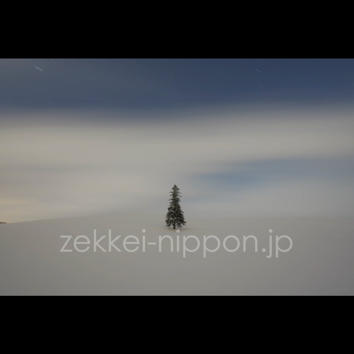 一生に一度は生で見たい！そびえたつ木が美しい「北海道の絶景スポット」3選 - 北海道Likers