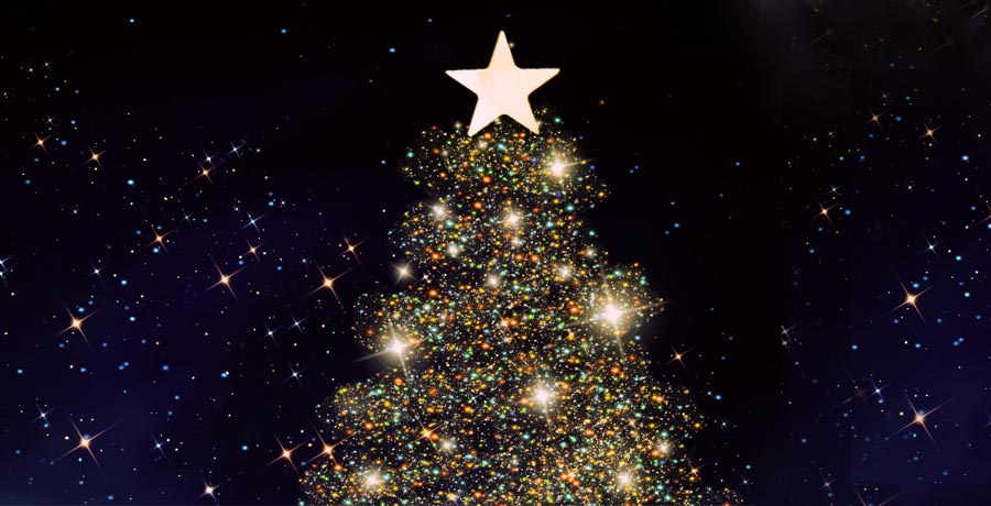 クリスマスツリー 枝大幅増量 ヌードツリー ポットツリー 飾り 北欧 おしゃれ クリスマス ブルー 樹 クリスマス おしゃれ 北欧 クリスマスツリーの おすすめ人気ランキング おしゃれな北欧風ツリーも紹介！2025年マイベスト