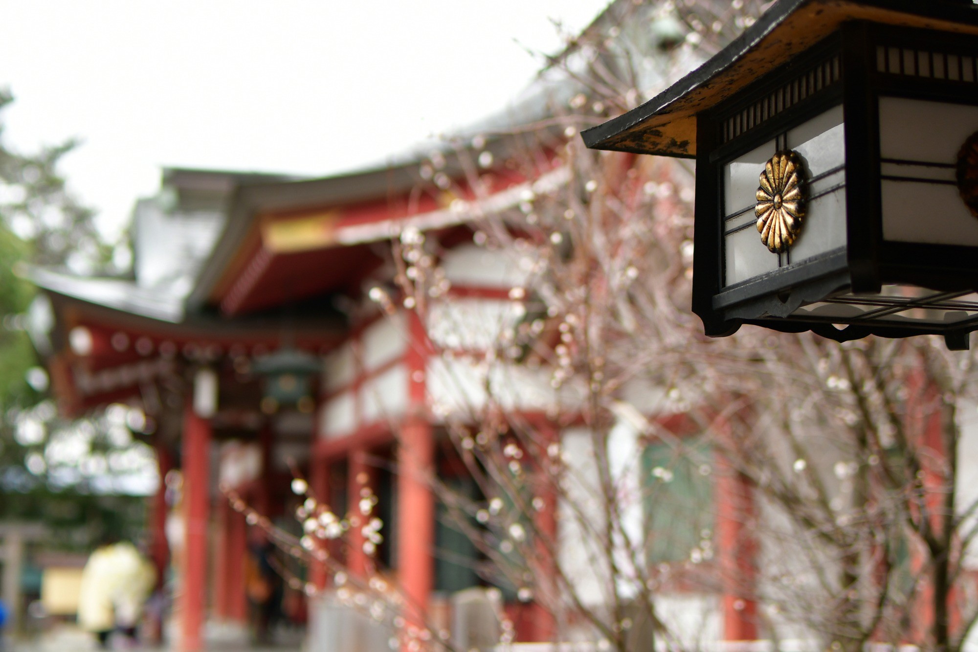 関西 縁結び・恋愛成就に最強の神社・パワースポット10選 - まっぷるウェブ