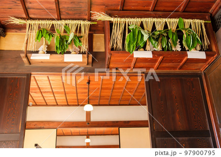 ユズリハ 譲り葉- 庭木図鑑 植木ペディア