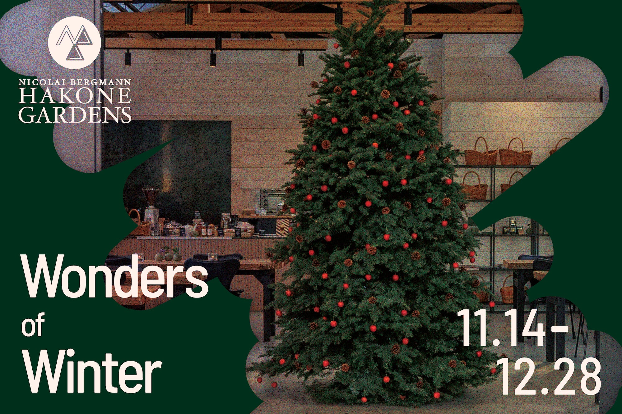 箱根・すてきな灯りプロジェクト 2022-2023箱根町観光協会公式サイト 温泉・旅館・ホテル・観光情報満載