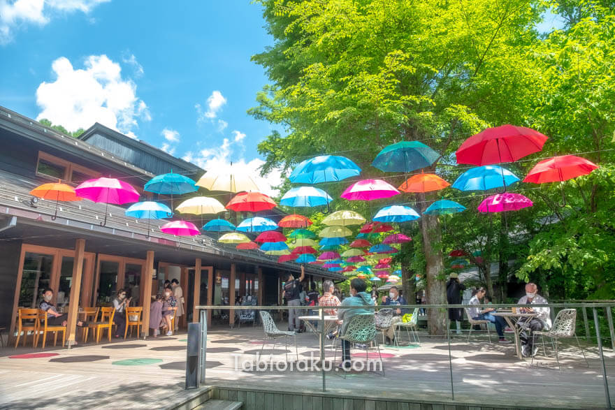 おしゃれで便利なビニール傘はいかが？雨の日もSNS映えを楽しもう♪ - HARAJUKU POP WEB