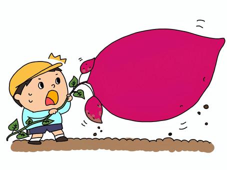 いもほりイラスト無料イラスト・フリー素材なら「イラストAC」