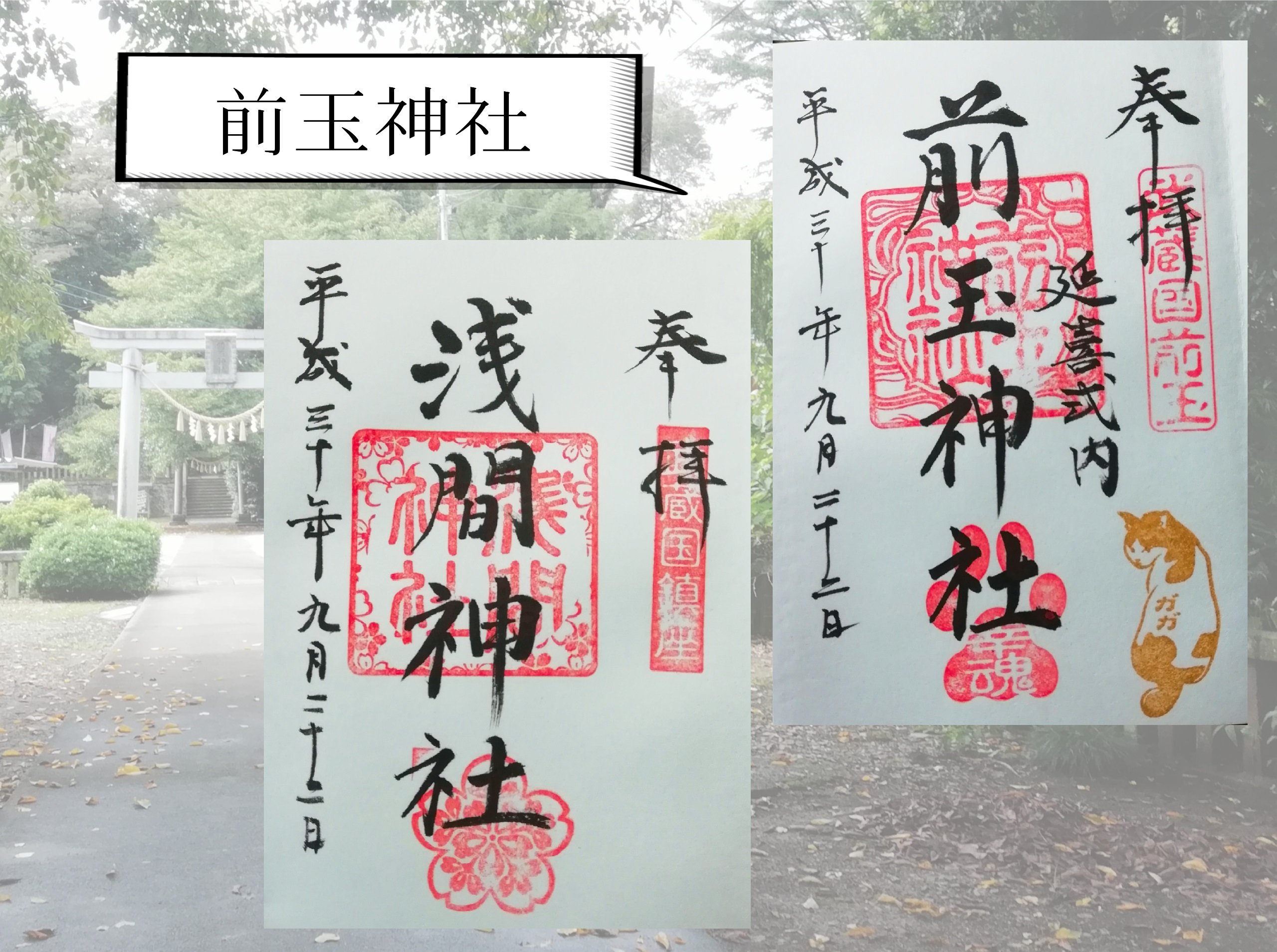 前玉神社 猫の日限定御朱印 御朱印セットYahoo!フリマ 旧PayPayフリマ