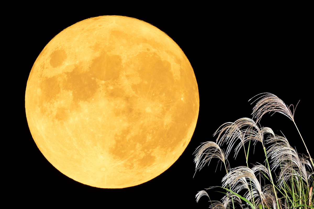 中秋の名月」十五夜はいつ？お月見の楽しみ方と月見団子のレシピ