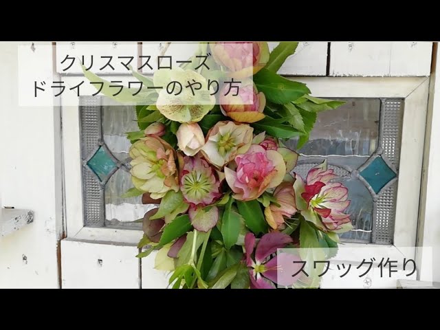 クリスマスローズ15本以上セット ドライフラワー花材 そのままインテリアに ドライフラワー 星月猫徳島洋子通販17829581Creema クリーマ