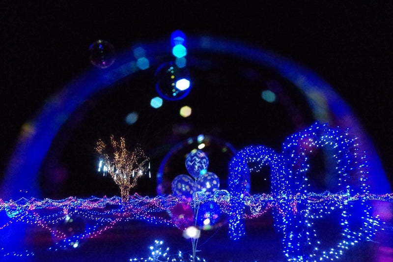 ことなみ土器どき広場 美しい里山のイルミネーション✨ 夜になると真っ暗で気温も低いこの場所に、浮かびあがるイルミネーションはとても美しいです✨点灯時間は17:00～21:00 1 14 金 まで行われます。 location:ことなみ土器どき広場香川県仲多度郡まんのう町 撮影日